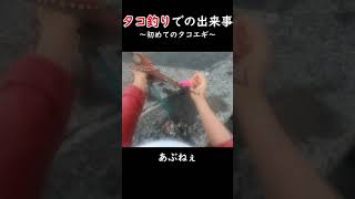 【タコ釣り】ハプニング！釣れたはいいけど。。。 #Shorts