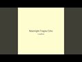 Moonlight Fragile Echo