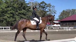 20220910全日本学生馬術女子選手権大会