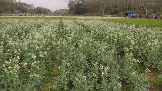 又是收获满满的一天