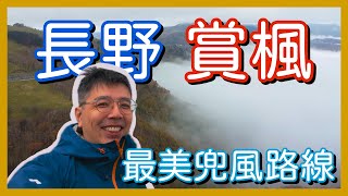 探索長野秋日美景｜日本最美公路維納斯公路絕美紅葉、八島濕原與蓼科湖一日遊！