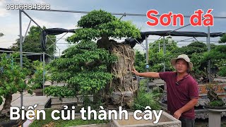 Sơn đá người biến củi thành cây. Tận dụng hết nguyên liệu