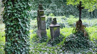 Tajemný hřbitov bohnické psychiatrické léčebny v Praze. Mysterious Cemetery in Prague.