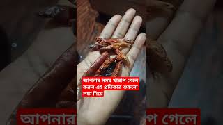 আপনার সময় খারাপ গেলে করুন এই প্রতিকার শুকনো লঙ্কা দিয়ে#শর্টস#trendingshorts#ytshorts #টোটকা