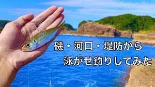 釣った豆アジでいろんなところから泳がせ釣りやってみた