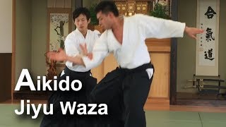 Beautiful and Dynamic Aikido - Freestyle（Jiyu Waza）02