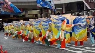 ぞっこん町田'98  町田夢舞生ッスイ祭2024 東急メイン