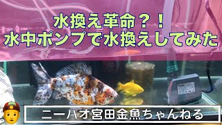 【ニーハオ宮田】金魚ちゃんねる_『水中ポンプでラクラク水換え⁉️エーハイムコンパクトオン1000で水換えしてみた🇩🇪👲』