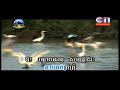 somros praek torl.សម្រស់ព្រែកទាល់ by sun sreypich