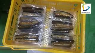 [그랜드벨] 그랜드팩 GP460 자동열성형진공포장기(꽁치구이)  Thermoforming Vacuum Packing Machine ( grilled fish )