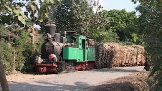 Tasikmadu Sugar Mill, Central Java, Indonesia