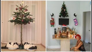 40 Genius People Who Found A Way To Protect Their Christmas Trees From Asshole Cats And Dogs