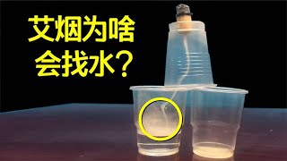 艾草的烟为什么会飘向有水的杯子？揭秘艾烟寻水工作原理【萌萌战队】