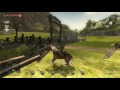 Legend of Zelda HD Twilight Princess HD Bug Locations