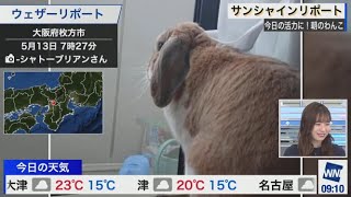 【高山奈々】モフモフしたものを飼いたい　2021年5月13日(木)サンシャイン