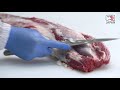 Japanese Wagyu Beef Cutting Guide_Fillet