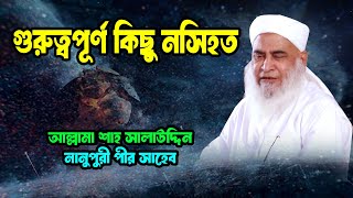 গুরুত্বপূর্ণ কিছু নসিহত | আল্লামা শাহ ছালাহ উদ্দিন নানুপুরী পীর সাহেব,নানুপুর 2025 Nanupuri pir sab