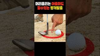 머리올리는 아줌마도 쉽게할수있는 벙커탈출  #Shorts #golf  #어깨스윙 #골프 #뉴욕홍빠