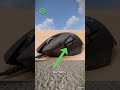 Rust Beginner Tips Part 7
