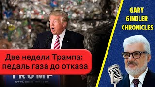 Две недели Трампа: педаль газа до отказа