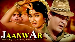 JANWAR | 1965 | Shammi Kapoor Super Hit Musical Romantic Movie | Full HD Movie
