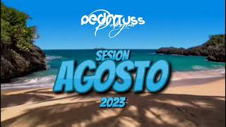 Sesión AGOSTO 2023 by Pedro Fernández (Reggaeton, Comercial, Trap, Flamenco, Dembow)