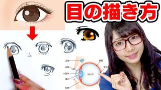 名探偵コナンキャラクター コナンの描き方 名探偵コナン ゆっくり編 How To Draw Detective Conan 그림