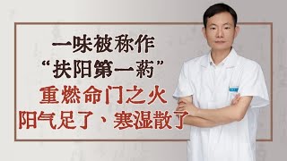 一味被称作“扶阳第一药”，重燃命门之火，阳气足了，寒湿散了！