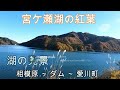 神奈川県・厚木市・愛川町・鳶尾山　神奈川県の宮ケ瀬湖はクリスマスツリーで有名ですが、昼間の紅葉を見に行きました