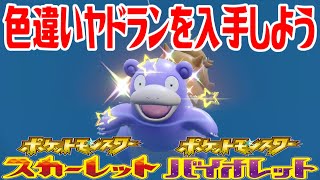 【ポケモンSV】色違いヤドランを入手しよう【ポケットモンスター スカーレット・バイオレット】Pocket Monsters