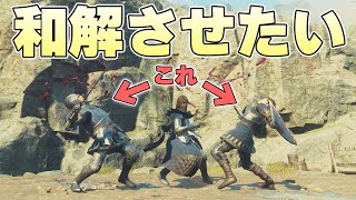 訓練してるようでどう見ても流血沙汰の喧嘩してる兵士たちを仲直りさせることはできるのか【ドラゴンズドグマ2実況】