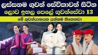 ලස්සනම ගුවන් සේවිකාව සිටින ලොව ඉහල පෙලේ ගුවන්සේවා 13  | tv desanda | beautiful flight attendant