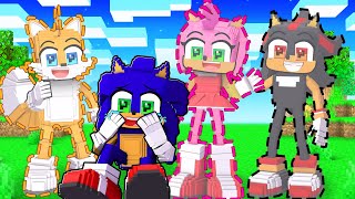 Sonic's Friends are GONE In Minecraft!