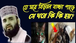 ঘরে বিড়াল বাচ্চা পাড়লে কি হয়? সে ঘরে কি হয়?Mizanur Rahman Azhari/অবহেলা না করে জেনে নিন #mislamictv