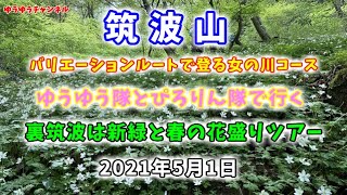 【登山 百名山】5月 裏筑波山登山