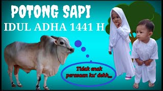 Itenerary Idul Adha 1441H || Potong hewan kurban || Sapi kurban || Ziarah kubur