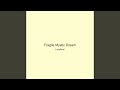 Fragile Mystic Dream