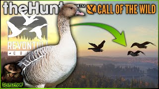 BEAN GOOSE Coming With FINLAND! Revontuli Coast New Species! Call of the wild