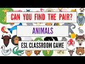 Learn English Animals | ESL Game | Find The Pair