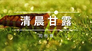 《清晨甘露》二月十二日 - 靠基督多得安慰