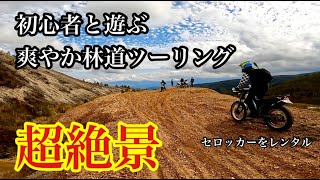 初心者と遊ぶ超絶景、爽やか林道ツーリング