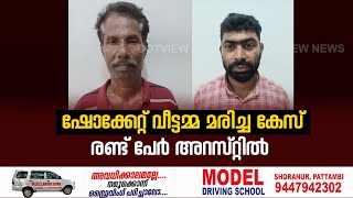 ഒറ്റപ്പാലത്ത് അനധികൃത വൈദ്യുതി വേലിയിൽ നിന്നു ഷോക്കേറ്റ് വീട്ടമ്മ മരിച്ച കേസ്; രണ്ട് പേർ അറസ്റ്റിൽ