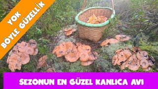 Dev Öbeklerle Dolu. Sezonun En Güzel Kanlıca Avı. #aboneol ,#subscribe ,#kamuranarslan