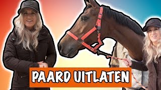 WAT KUN JE ALLEMAAL MET JE PAARD DOEN? | PaardenpraatTV