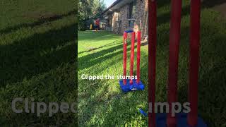 Clipped the wickets in cricket