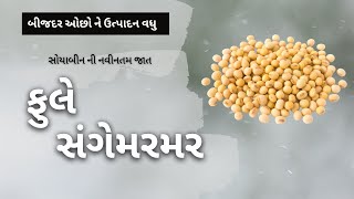 ફુલે સંગેમરમર 1000rs/ kg || બીજદર ઓછો ને ઉત્પાદન વધુ || બીજદર ઓછો ને ઉત્પાદન વધુ