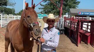 Pro-Stride Perspectives - Dona Kay Rule
