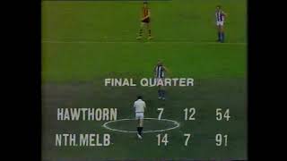 ABC 1975 VFL Grand Final - remainder of 4th quarter