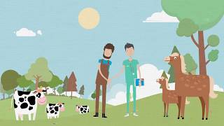 ezyVet Go - take your practice further
