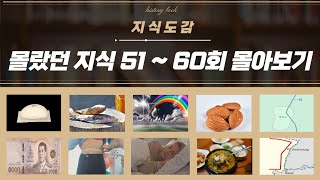 우리가 몰랐던 지식 51~60회 몰아보기